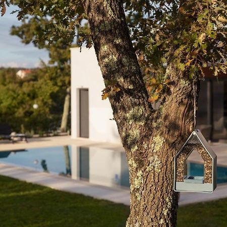 Villa Eos Sveti Petar u Sumi Eksteriør billede